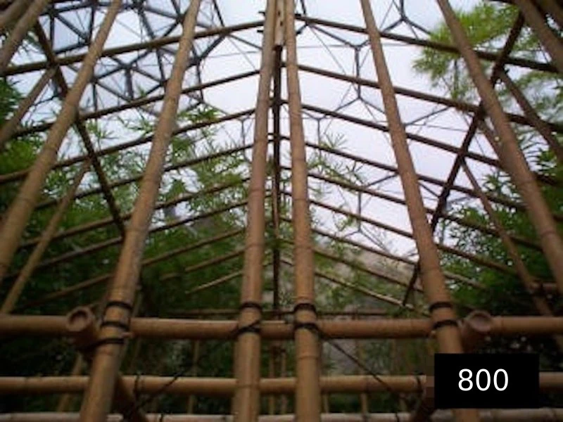 bamboo